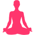 cropped vinyasa yoga.png